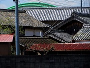 2026/04/11(1)�@���R��