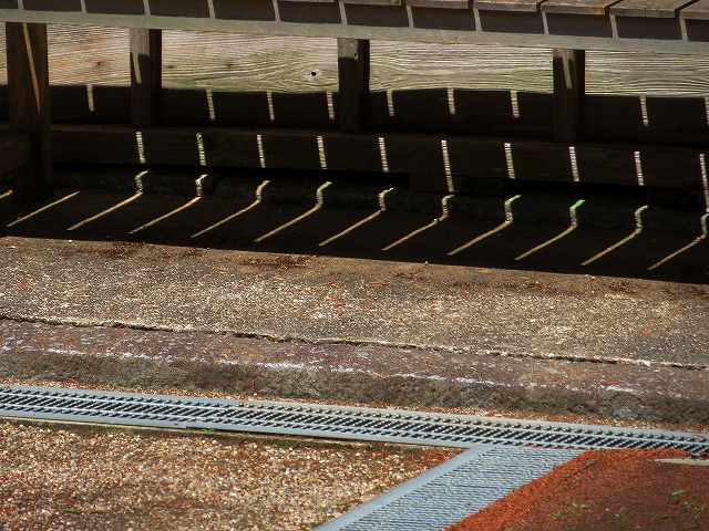 2026/04/11(9)�@���R���A�呺�_��