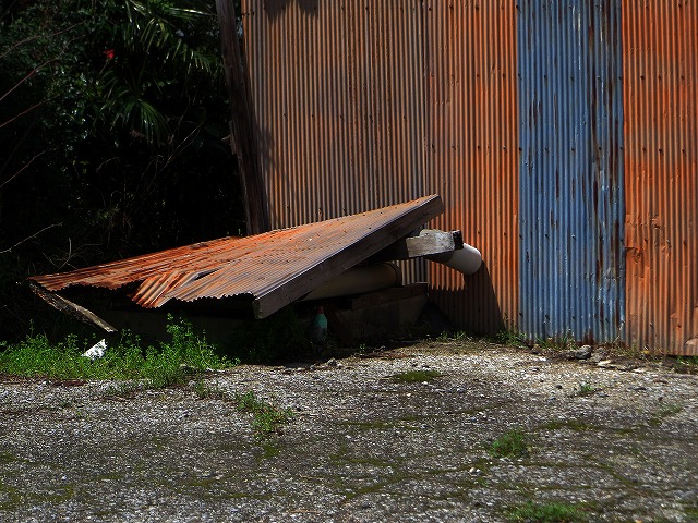 2026/04/11(10)�@���R��