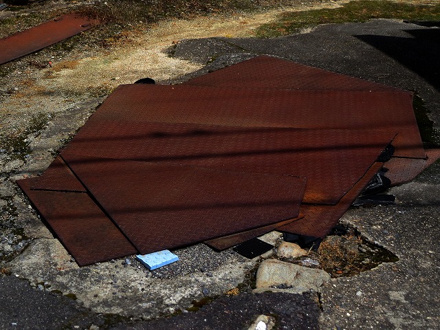 2026/04/11(12)�@���R��