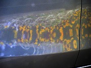 2026/04/22(5)�@�L�c