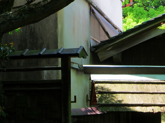 2026/04/28(2)�@����A�����J�쎡�Y���q��