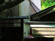 2026/04/28(2)�@����A�����J�쎡�Y���q��