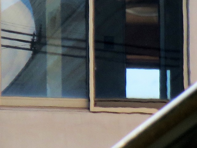 Ẩ^Ȃǁ@2024/05/03(2)