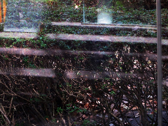 �Ẩ��^���Ȃǁ@2026/03/21