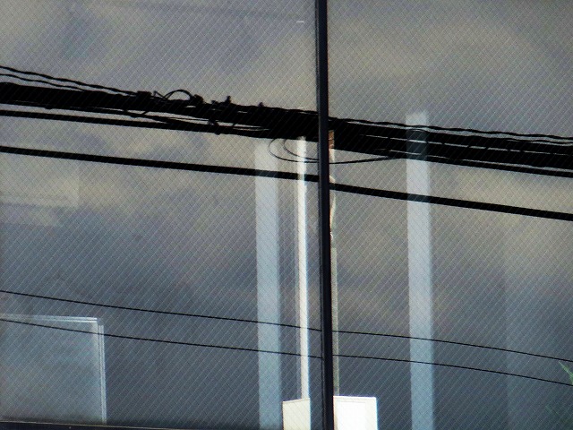 �Ẩ��^���Ȃǁ@2026/04/11(2)