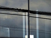 津の何某かなど　2026/04/11(2)