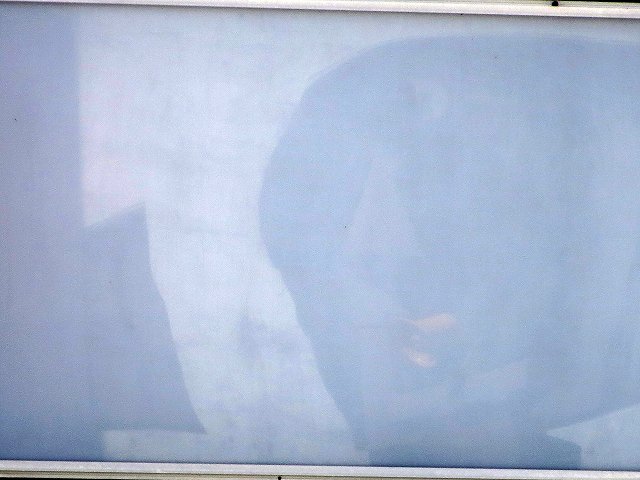 ẪI[I[@Ȃǁ@2018/09/19(3)