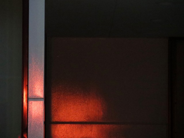 ẪI[I[@Ȃǁ@2020/10/19(3)
