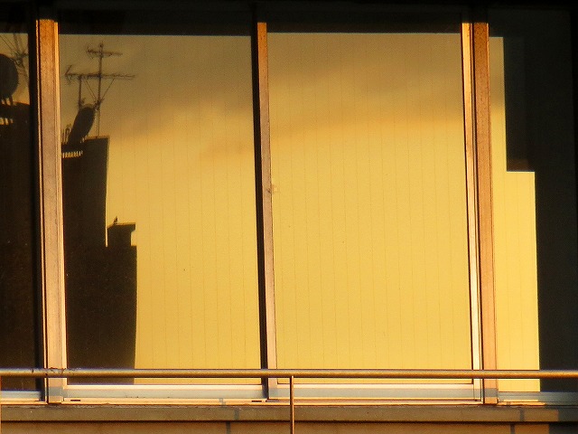 ẪI[I[@Ȃǁ@2021/04/12