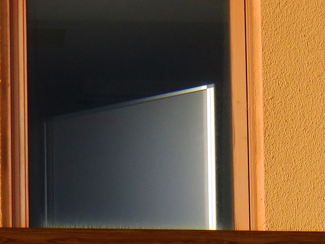 ẪI[I[@Ȃǁ@2021/05/25(2)