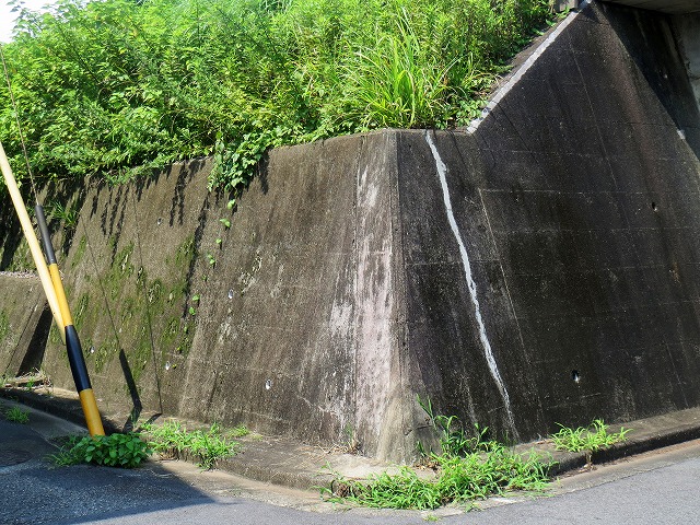 ẪI[I[@Ȃǁ@2021/07/14(1)