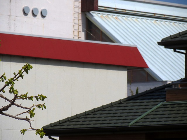 ẪI[I[@Ȃǁ@2025/04/05(2)