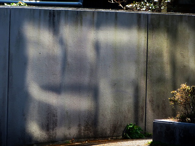 �ẪI�[���I�[���@�Ȃǁ@2026/03/21