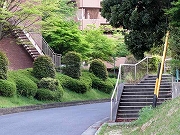 Â̊KiȂǁ@2019/05/03(2)