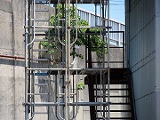 Â̊KiȂǁ@2019/06/25(2)