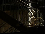 Â̊KiȂǁ@2023/03/11(2)