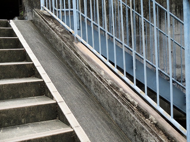 Â̊KiȂǁ@2023/06/05(2)