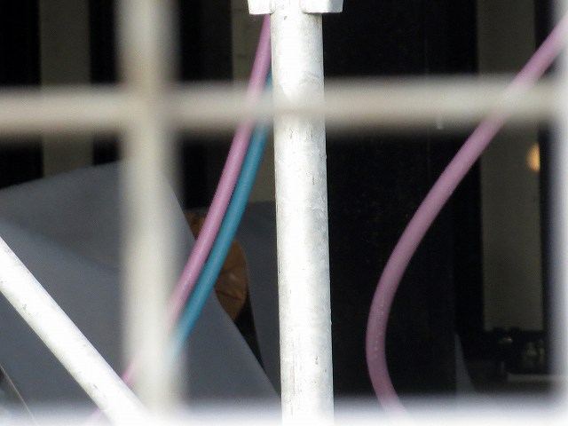 Â̊iqȂǁ@2018/09/05(1)
