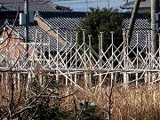 Â̊iqȂǁ@2020/02/12(2)
